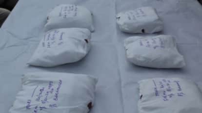 Operation Prahar Doon Police Apprehends Three Drug Trafficker Including Two Foreign Peddlers from Cobra Gang