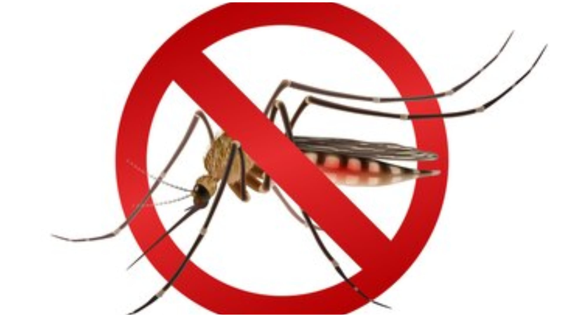 dengue cases in delhi ncr latest news in hindi know health risk and prevention