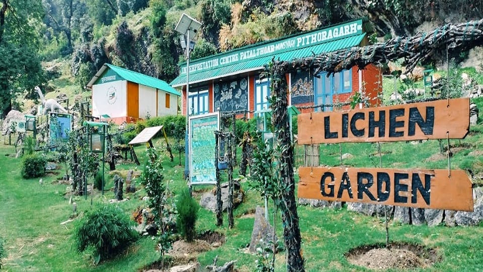 Lichen Park of Munsiyari is becoming a center of attraction for tourists