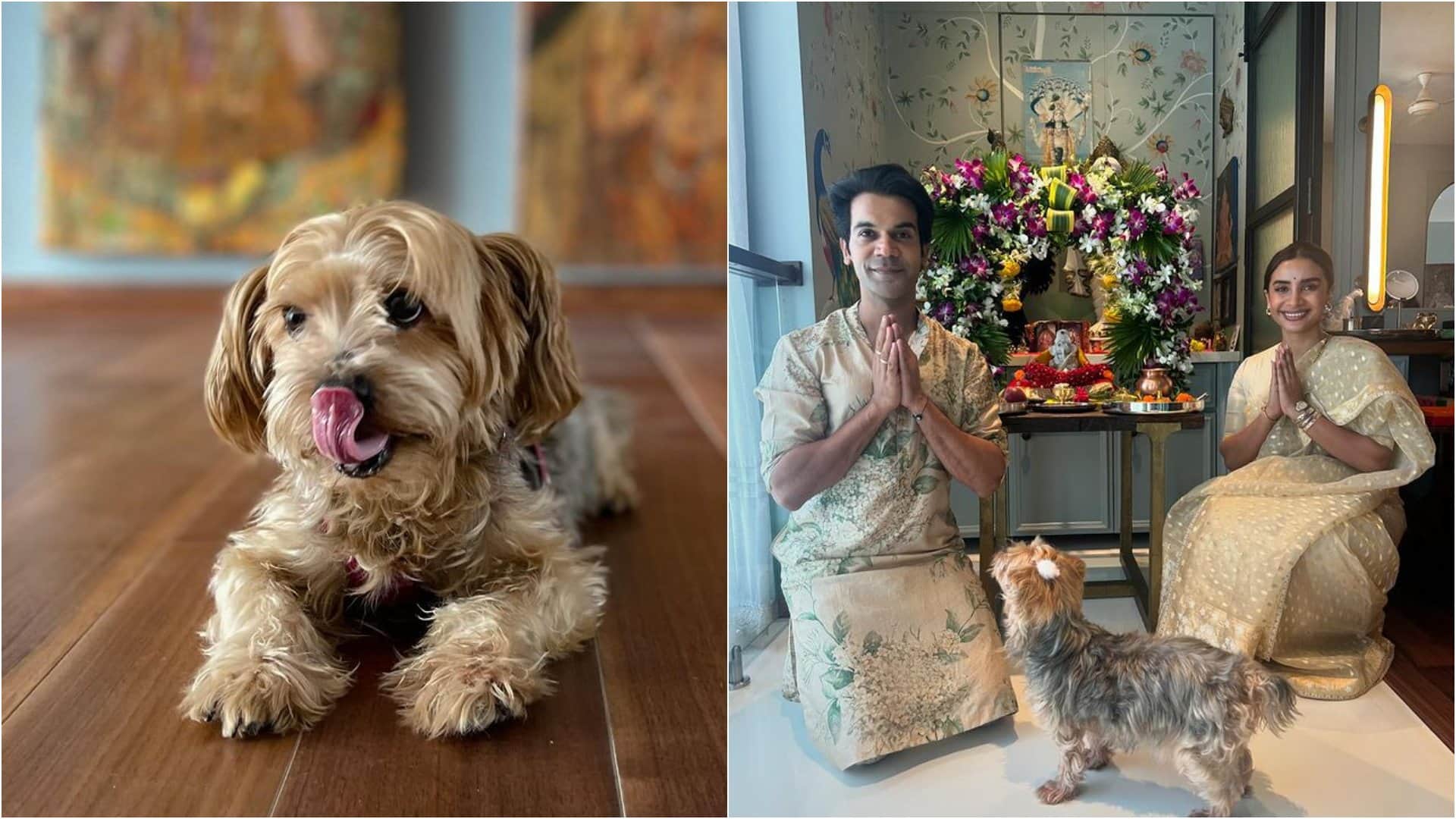 Stree 2 star RajKummar Rao and Patralekhaa faced tragedy couple losted their beloved pet