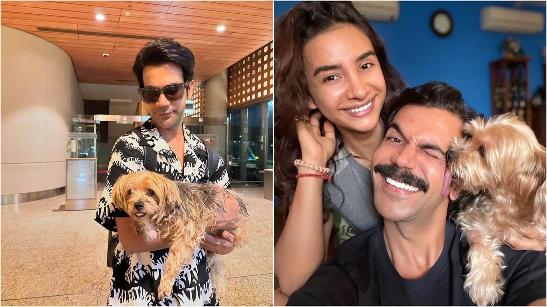 Stree 2 star RajKummar Rao and Patralekhaa faced tragedy couple losted their beloved pet