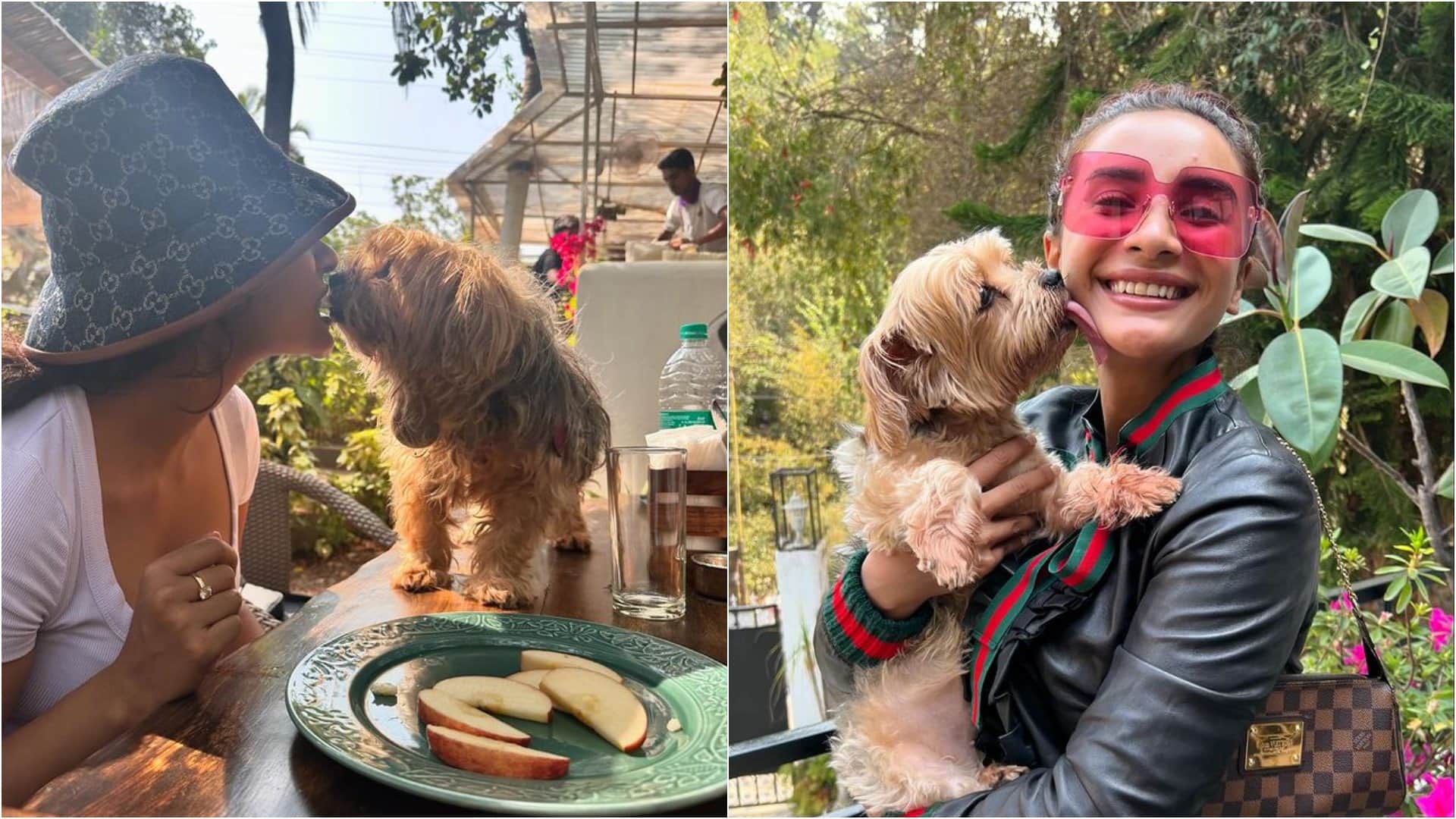 Stree 2 star RajKummar Rao and Patralekhaa faced tragedy couple losted their beloved pet