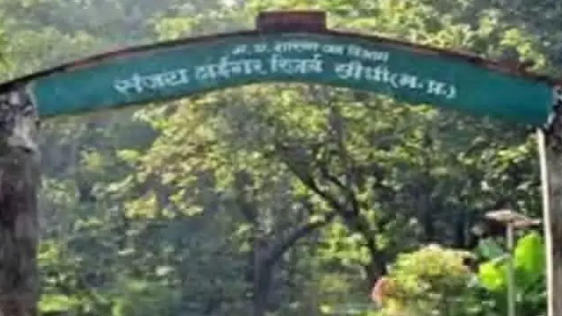 MP News: Forest crime case registered against Tourism Development Corporation for illegal construction in Sanj
