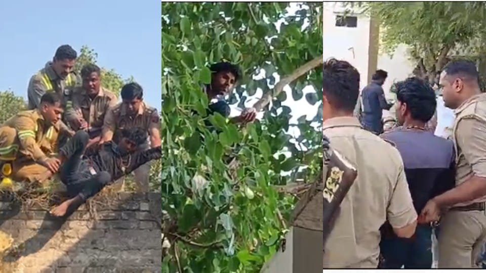 Amroha: Climbed tree drunken state, ordered water and gram from police, brought down after four hours