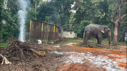 Elephant Gangaram's place was changed in Vinod Van of Gorakhpur.