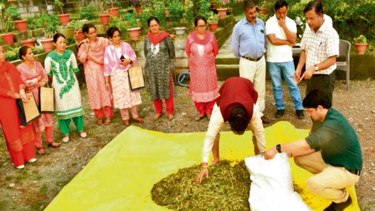 Now there will be no shortage of nutritious fodder in winter, HFRI is giving training to villagers