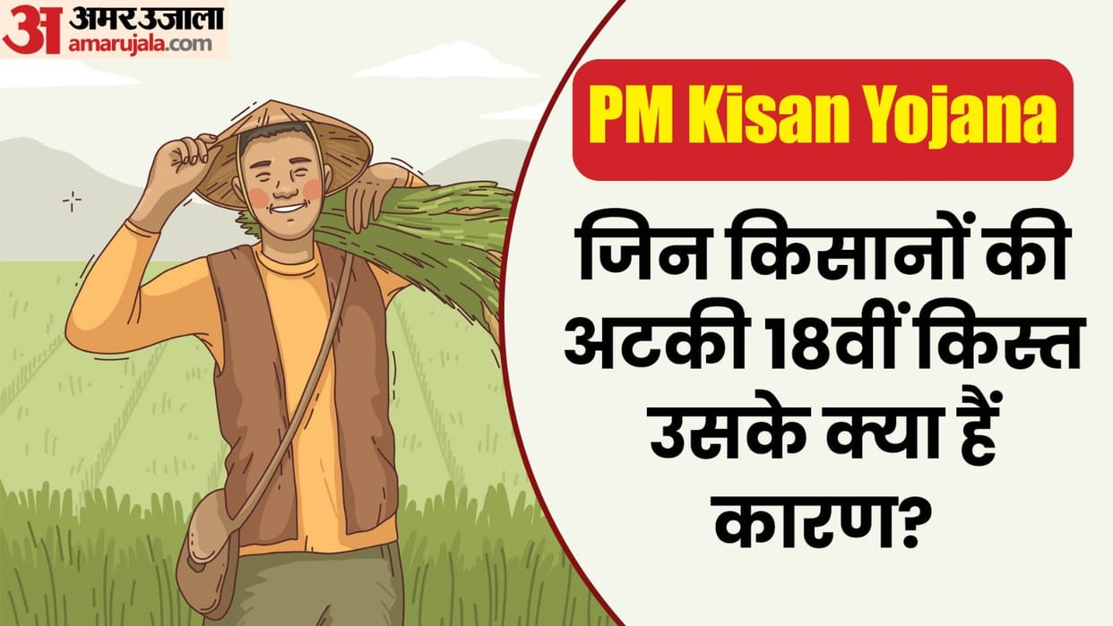 PM Kisan Samman Nidhi: Due to stuck 18th installment check reason
