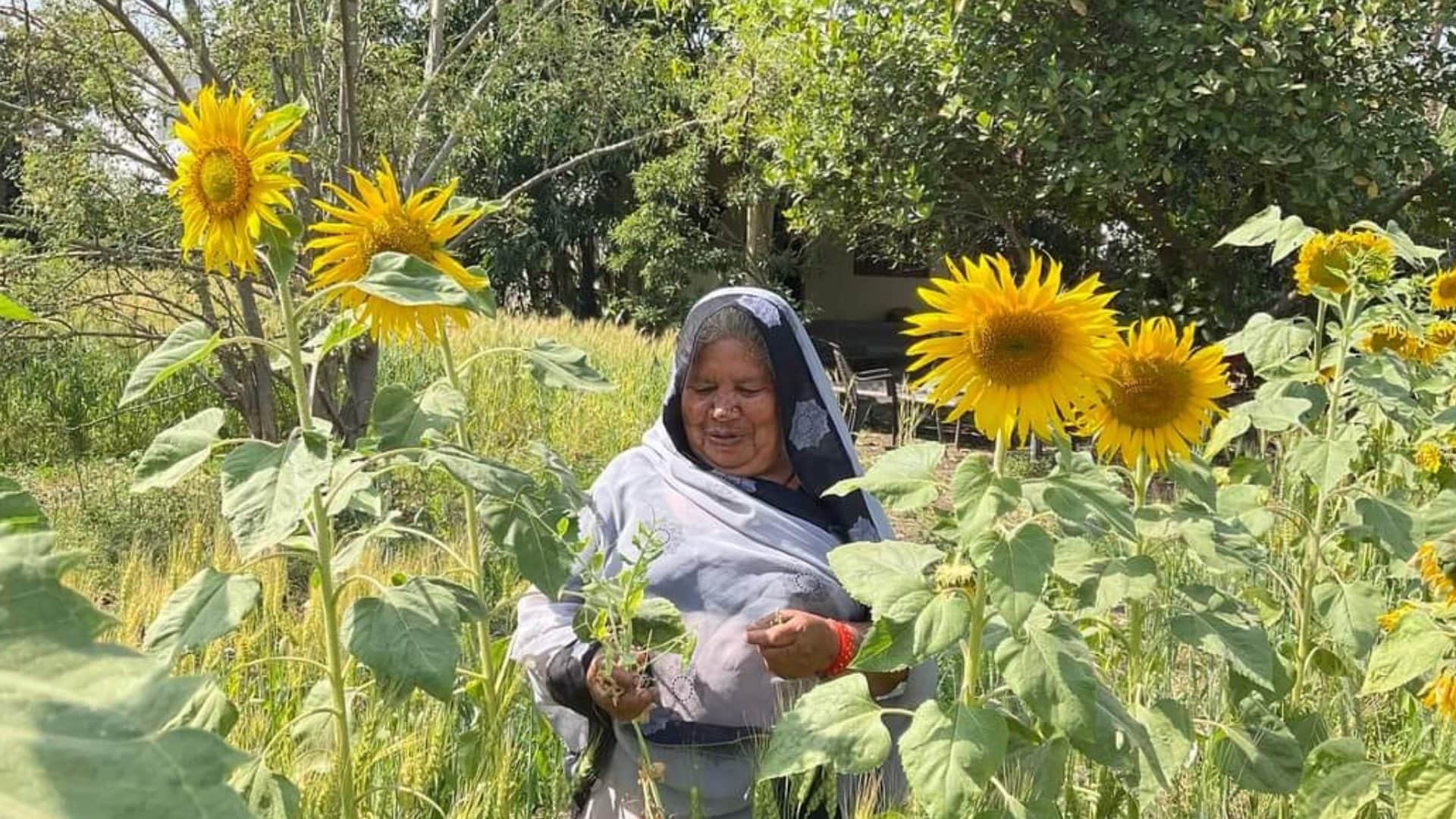 Bhagwanti Devi became a millionaire by learning farming from YouTube and TV