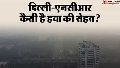 Delhi Air Pollution Local pollutants are making people breathe in Delhi