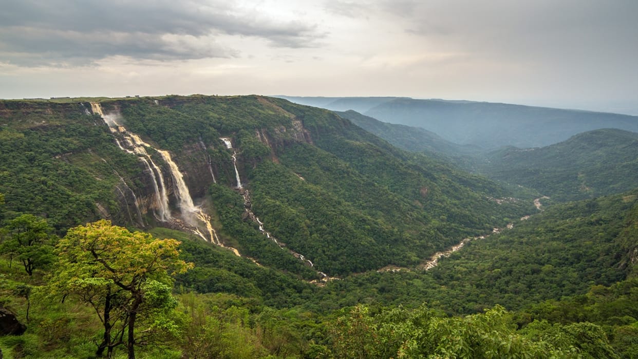 IRCTC Essence Of North East Group Package From Guwahati Check Price And Other Details Here