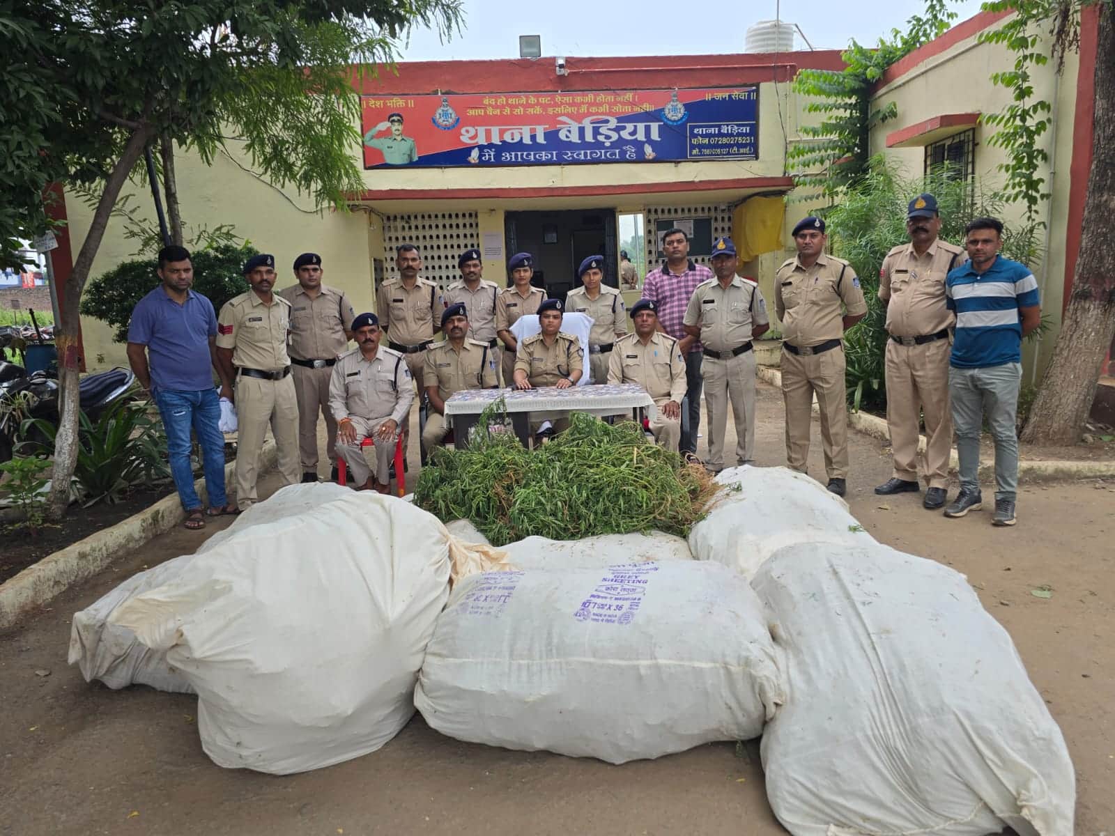 खरगोन पुलिस ने बड़ी मात्रा में गांजे के अवैध पौधे जब्त किए हैं।