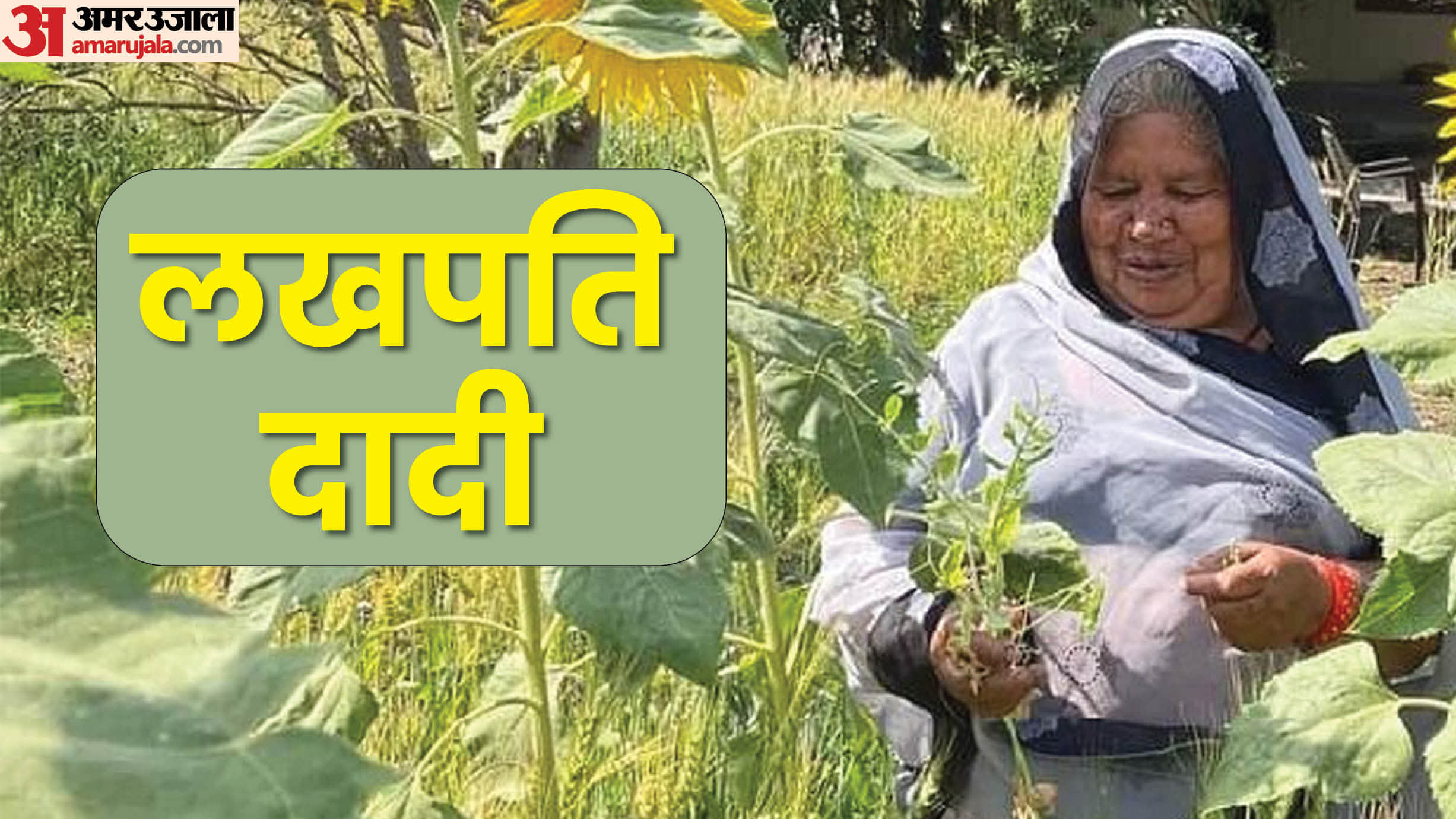 Bhagwanti Devi became a millionaire by learning farming from YouTube and TV