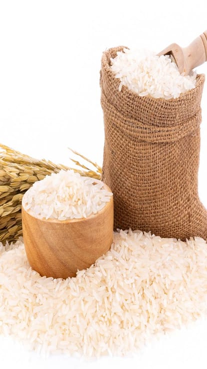 चावल rice