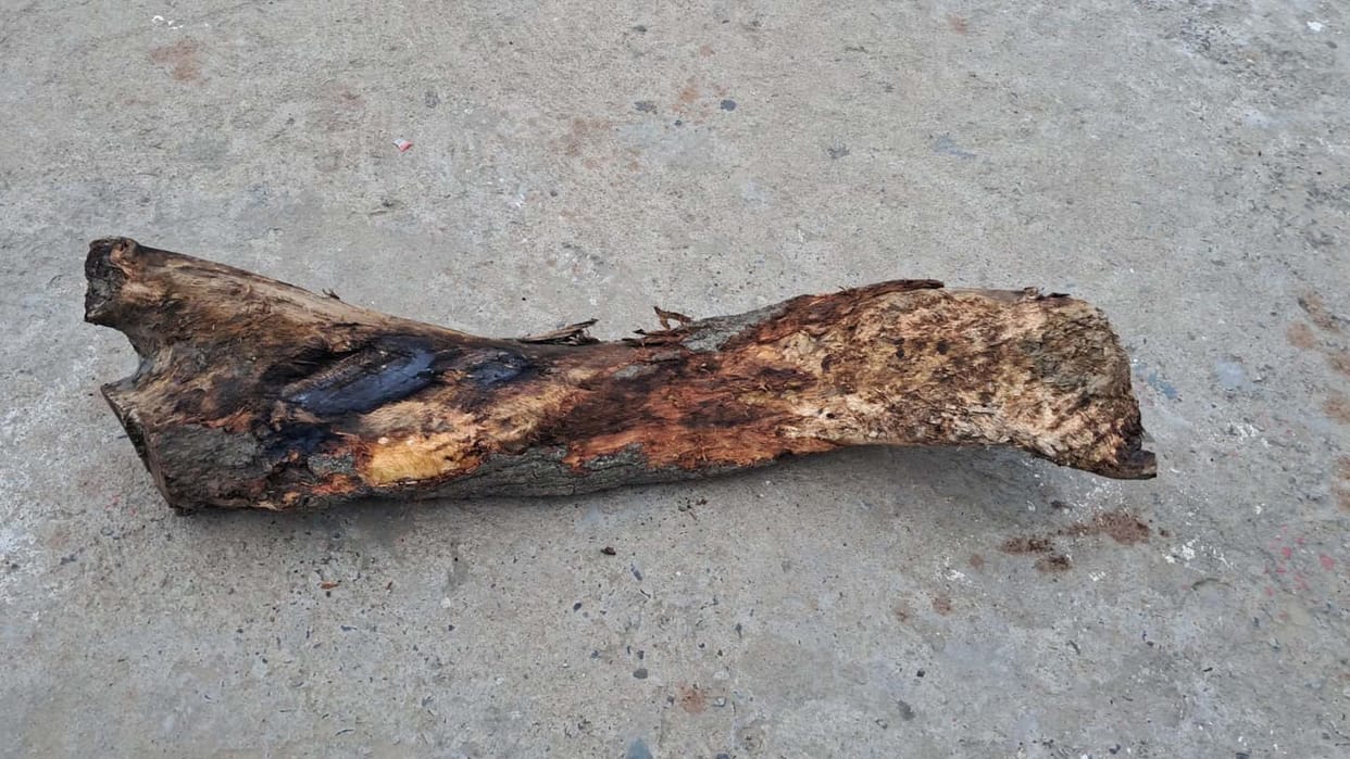 Farrukhabad: Bail of the accused rejected for placing a log on the track