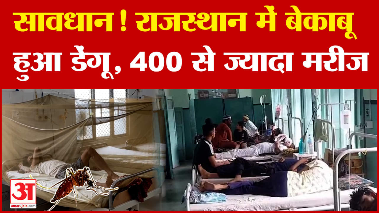 Rajasthan News: राजस्थान में बेकाबू हुआ डेंगू, 400 से ज्यादा मरीज | Dengue | Bikaner | Amar Ujala