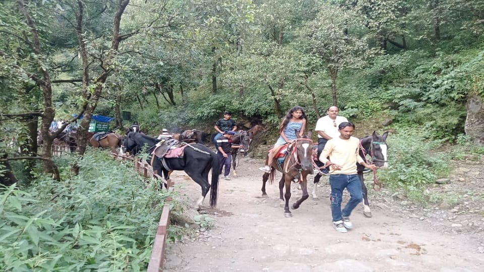 Horse riding started after two months, more than a hundred tourists arrived