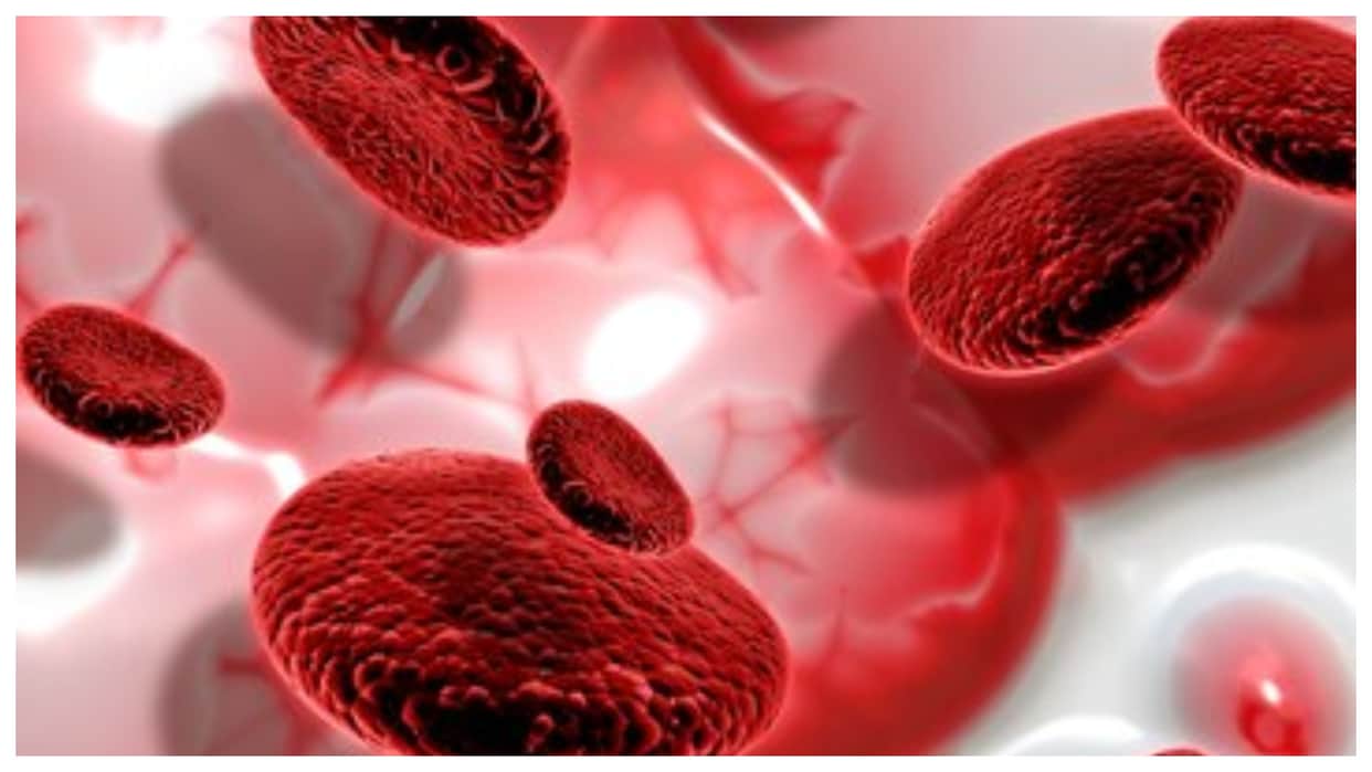 Apart from papaya and kiwi these four things are also very effective in increasing platelets in hindi