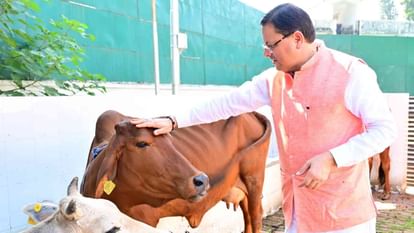 Navratri 2024: सीएम धामी ने पत्नी संग किया कन्या पूजन, तस्वीरों में देखिए कैसे सज-धज कर पधारीं 'नन्ही देवियां' Navratri kanya pujan 2024 CM Dhami performed Kanya Pujan with his wife ashtami navami Uttarakhand Watch Photos