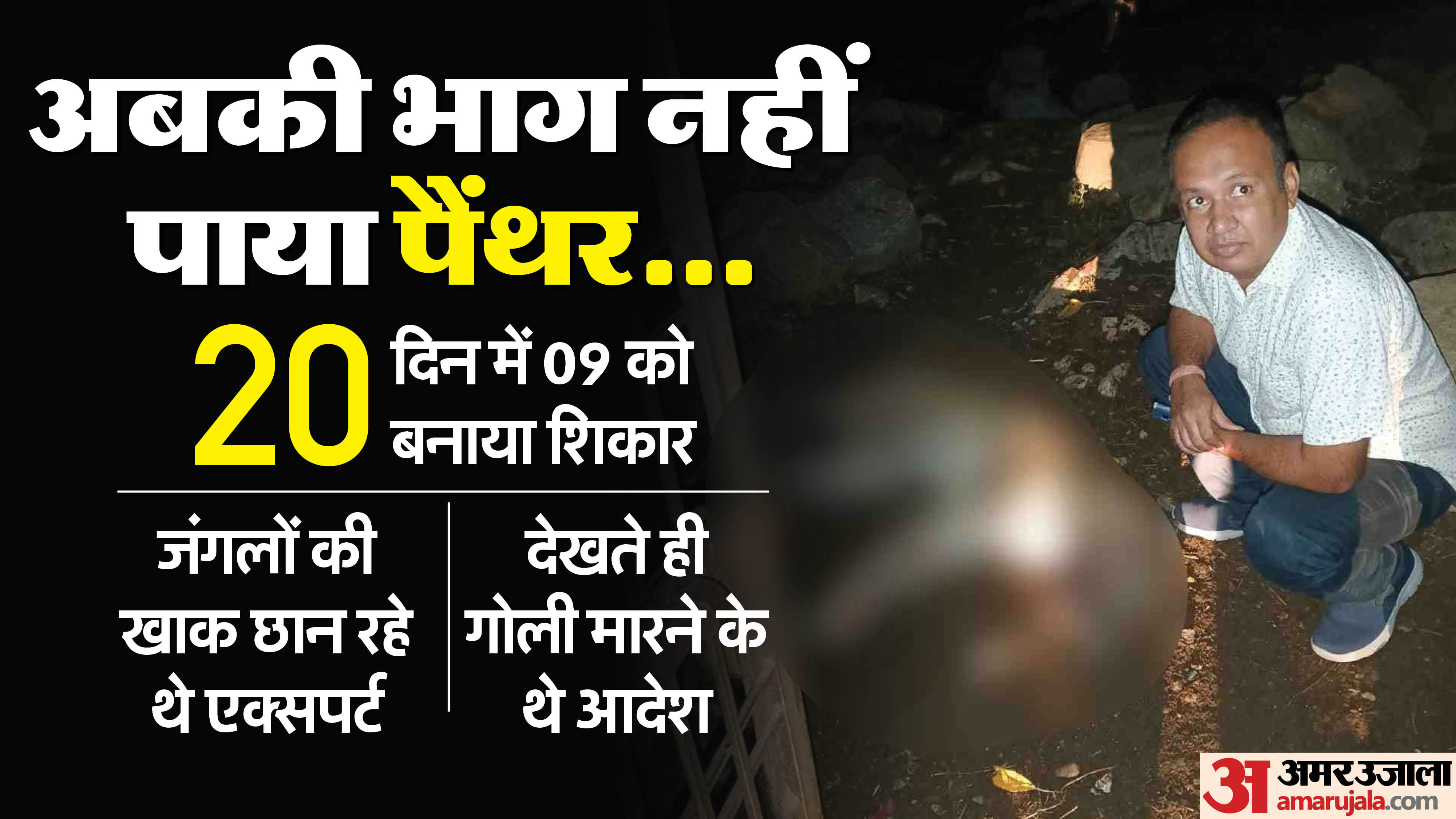 ग्रामीणों की पिटाई से पैंथर की मौत।