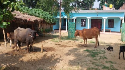 Anger over the death of teenage rape victim, adamant on getting bulldozer driven at accused's house