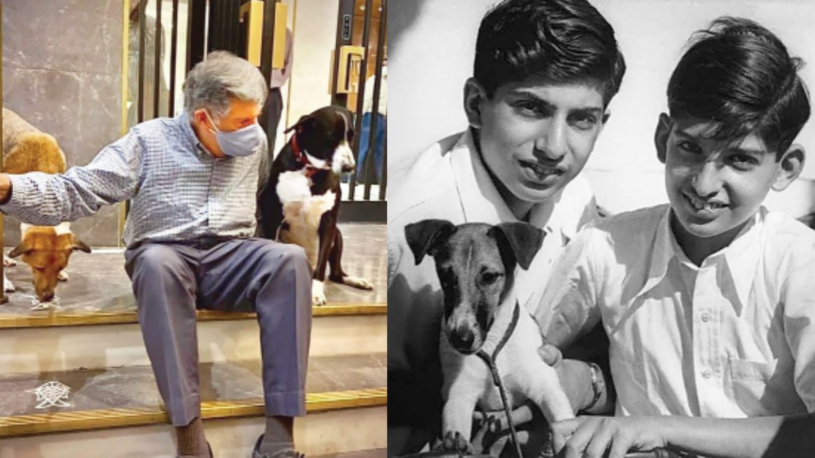 Ratan Tata Memories Photos Dog Love Insta Post Chhotu Lady Respect Retaining Company Employees and more