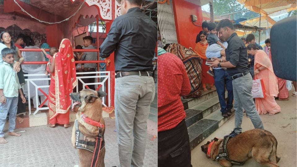Tracker dog Bagha reached Mata court in Korba