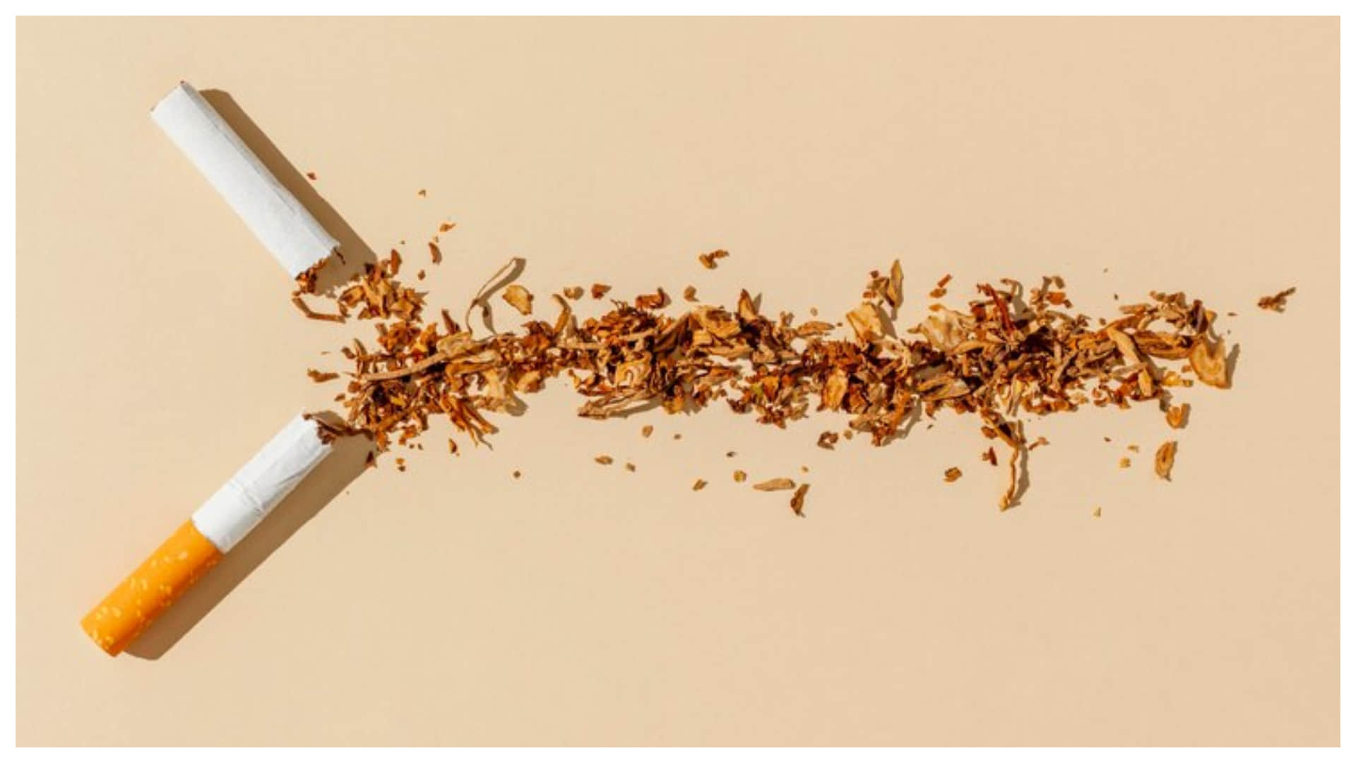 World Cancer Day 2026: Why Cancer Cases are Rising in India and Main Causes Behind the Epidemic