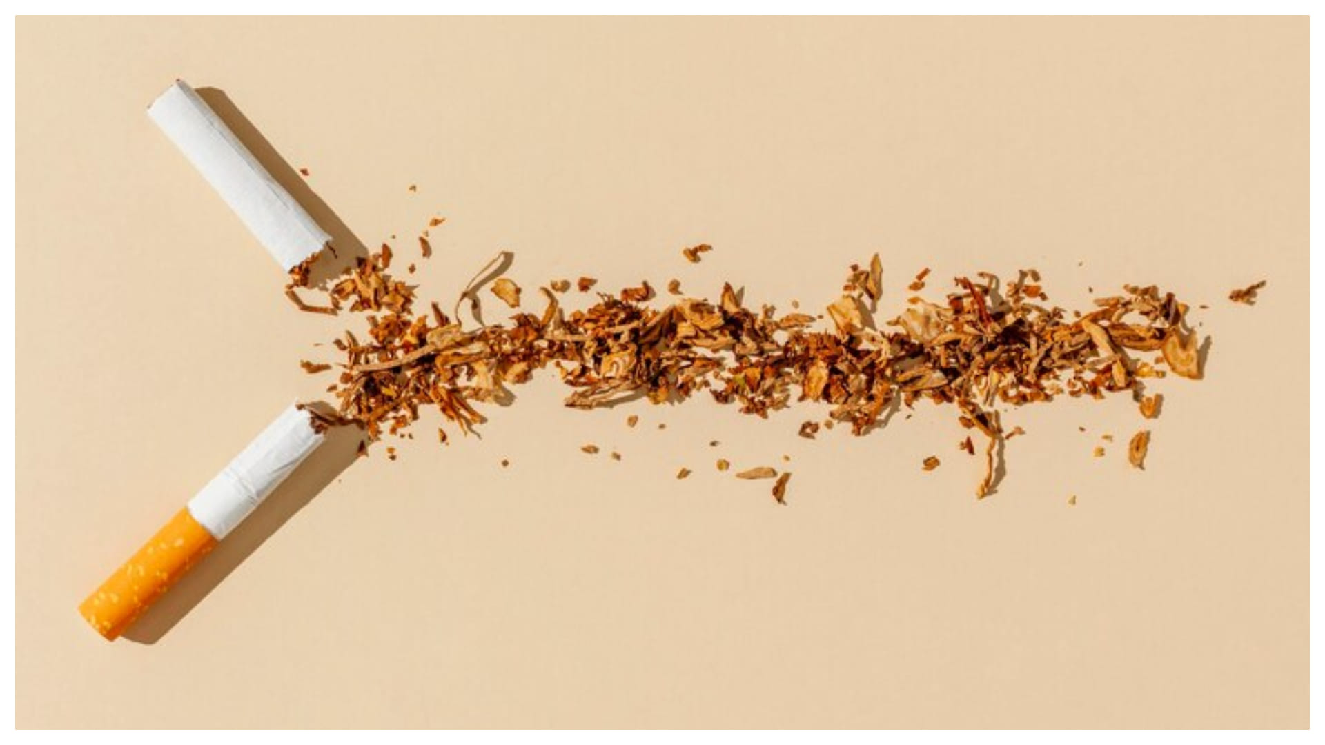 World No-Tobacco Day How Tobacco and smoking Severely Damages Body and Health