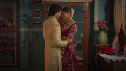 Vicky Vidya Ka Woh Wala Video Review by Pankaj Shukla Raaj Shaandilyaa Rajkumar Rao Tripti Dimri Vijay Mallika