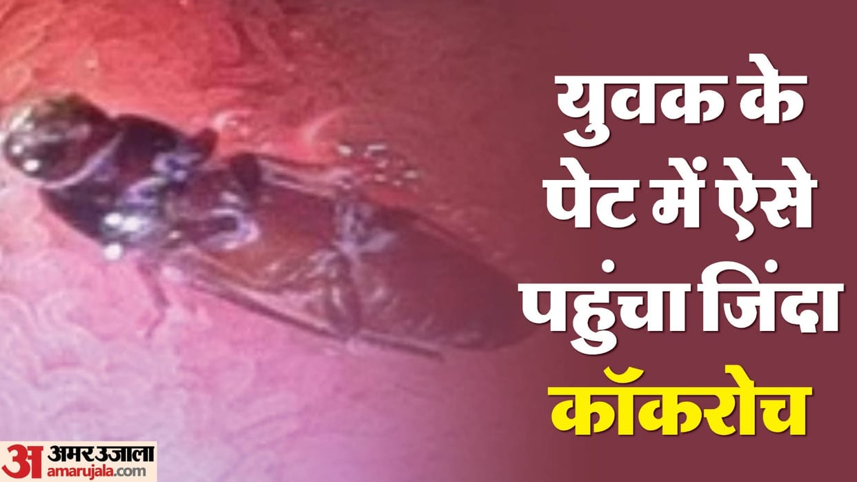 Alive cockroach found in small intestine of a youth in Delhi