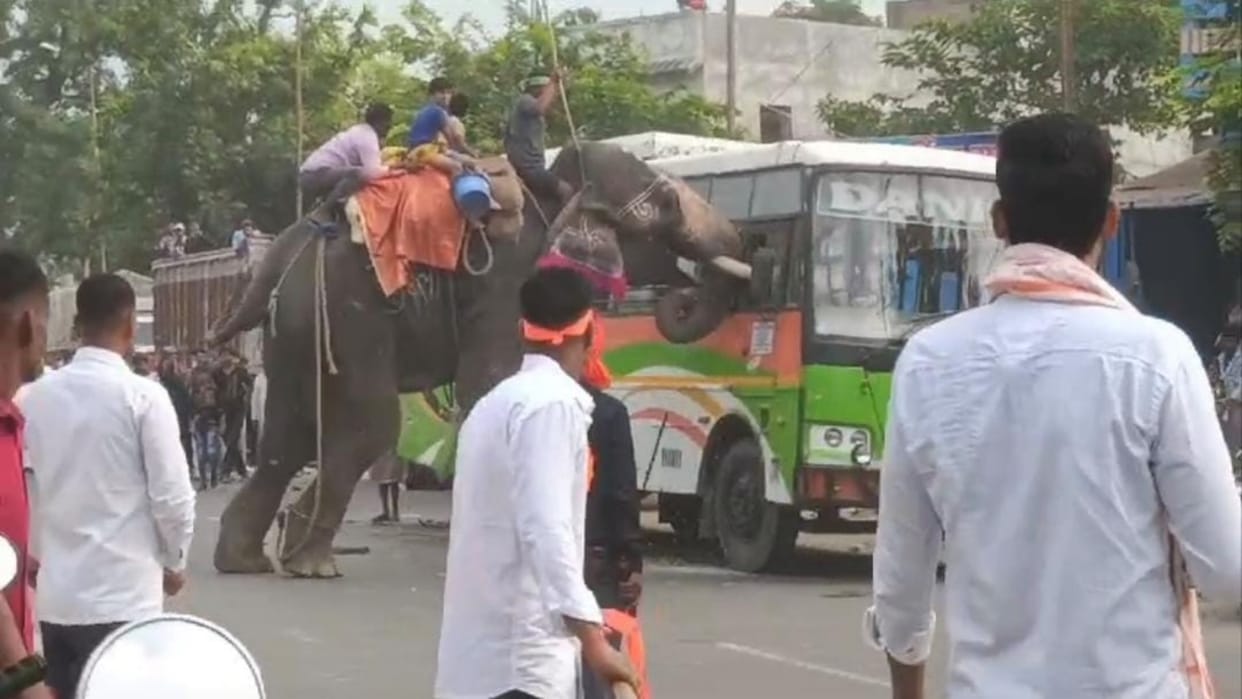 Chhapra: furious elephant destroyed 5 vehicles including 2 cars at Dussehra fair people ran away to save lives