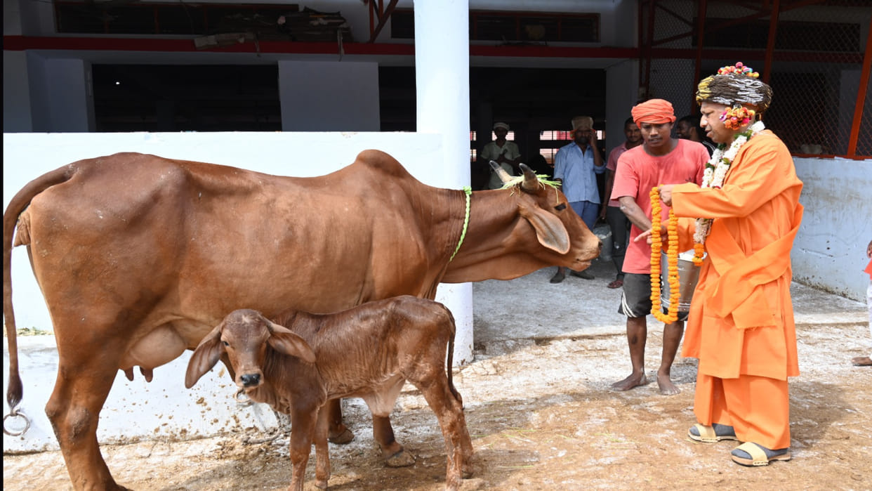 Varanasi Second phase Go-Samman Abhiyan today 5000 cow devotees accompanied by 500 saints in kashi