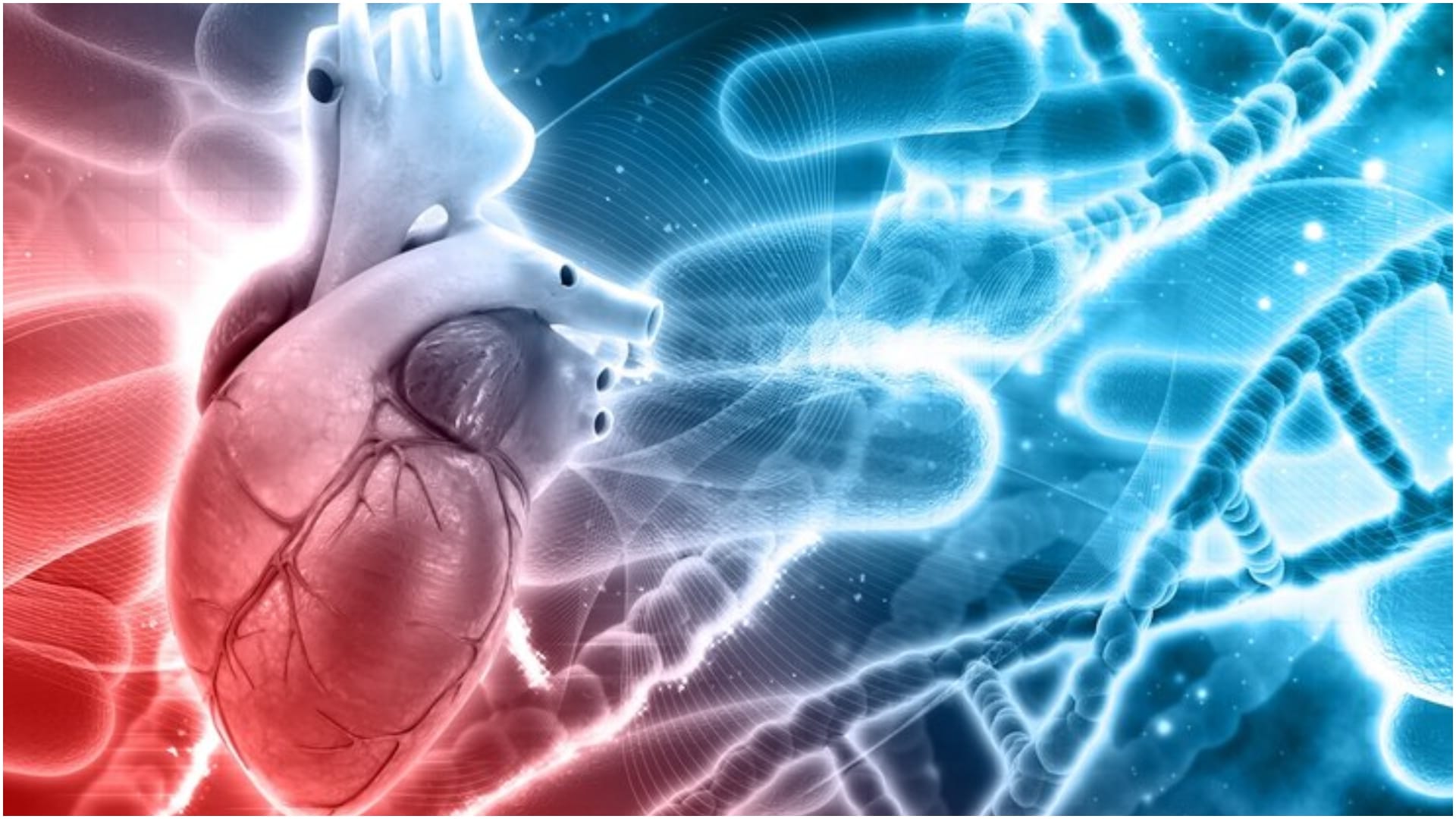 World Thrombosis Day 2024 What is thrombosis know its risk factors and complications