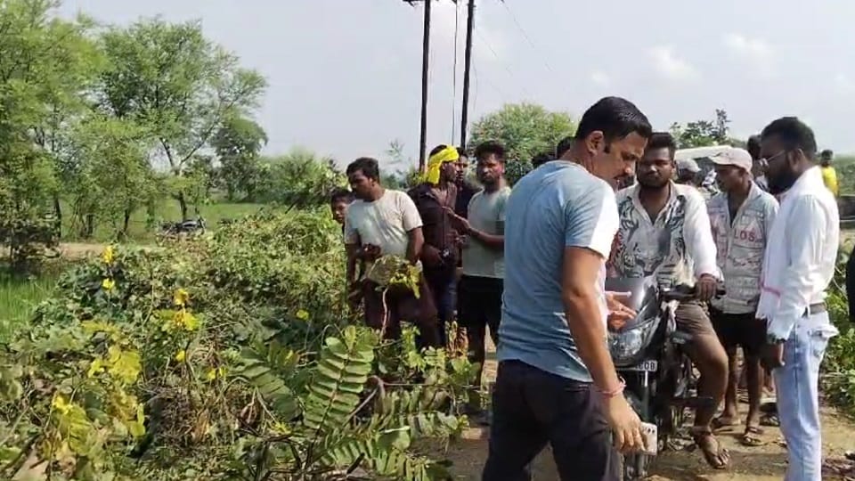 Sensation due to finding half-burnt body of an unknown youth police engaged in investigation in Bilaspur