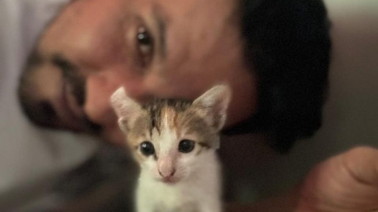 Randeep Hooda reunites with his pet cat after four Days Of Being Missing shared heart touching post