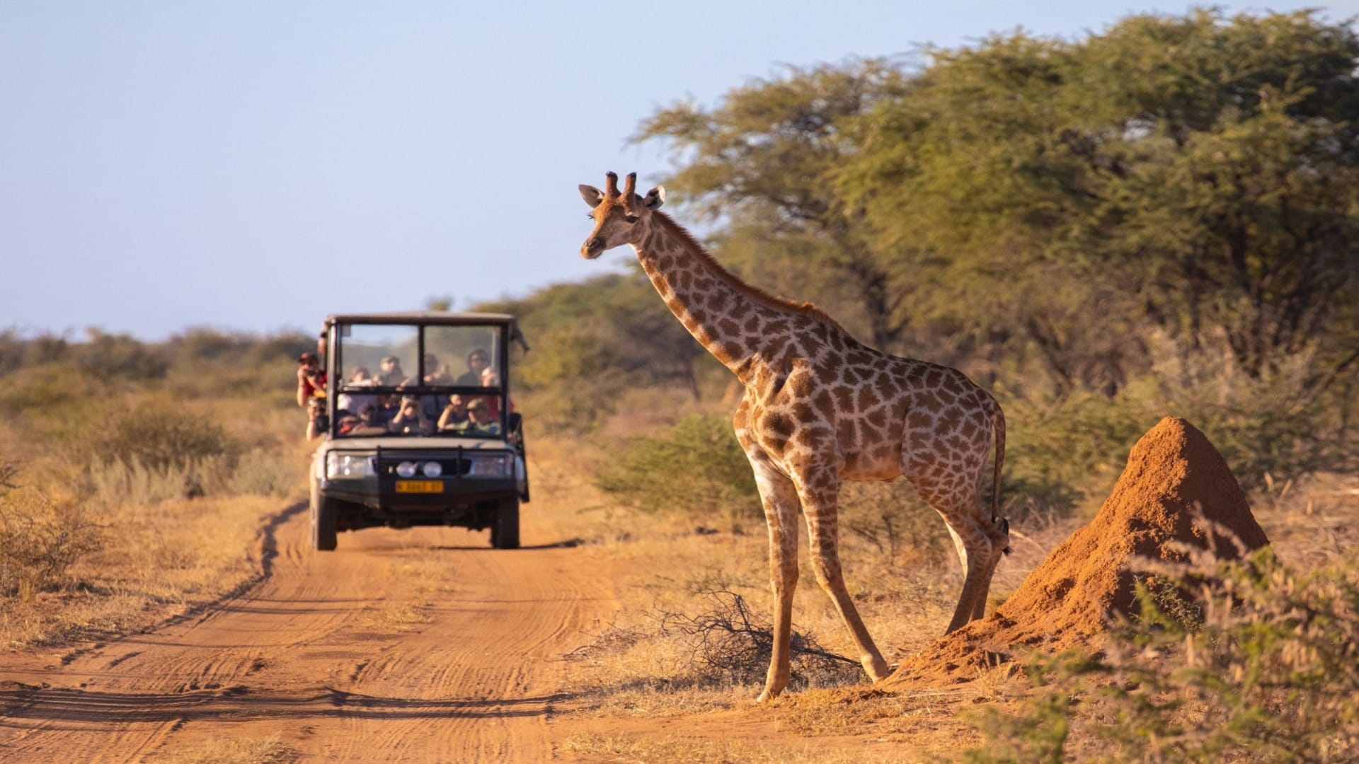 IRCTC Kenya Tour Package 2024 From Kolkata Check Complete Details Of This Tour