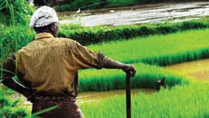 Ladakh model of hydroponic greenery will transform high Himalayan farming