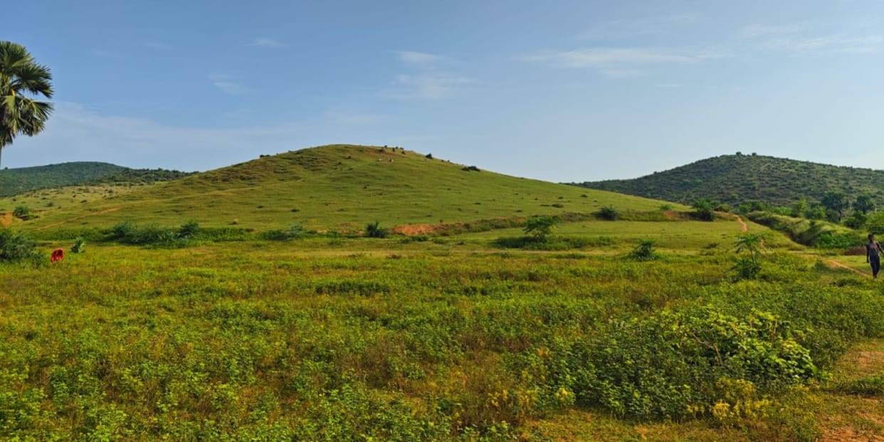 Bihar News: Gaya's Gulelwa mountain spews gold, villagers said that now they will get employment