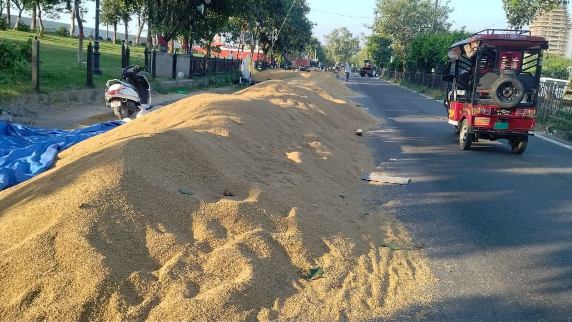 Haryana Negligence In Paddy Procurement Proved Costly Amar Ujala   Brahamasaravara Ka Cara Ora Isa Taraha Sa Thhana Ka Fasal Sa Ata Ha Saugdhaka 85fda760642e631108b3bd0898960a4c 