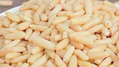 Kinnaur: 22 percent rise in the price of chilgoza pine nuts