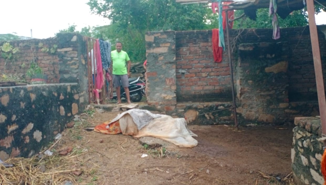 Panther hunted a cow calf in Udaipur city area
