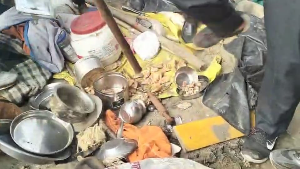 Haridwar News drugs and meat was caught in slums horns and remains of wild animals also found