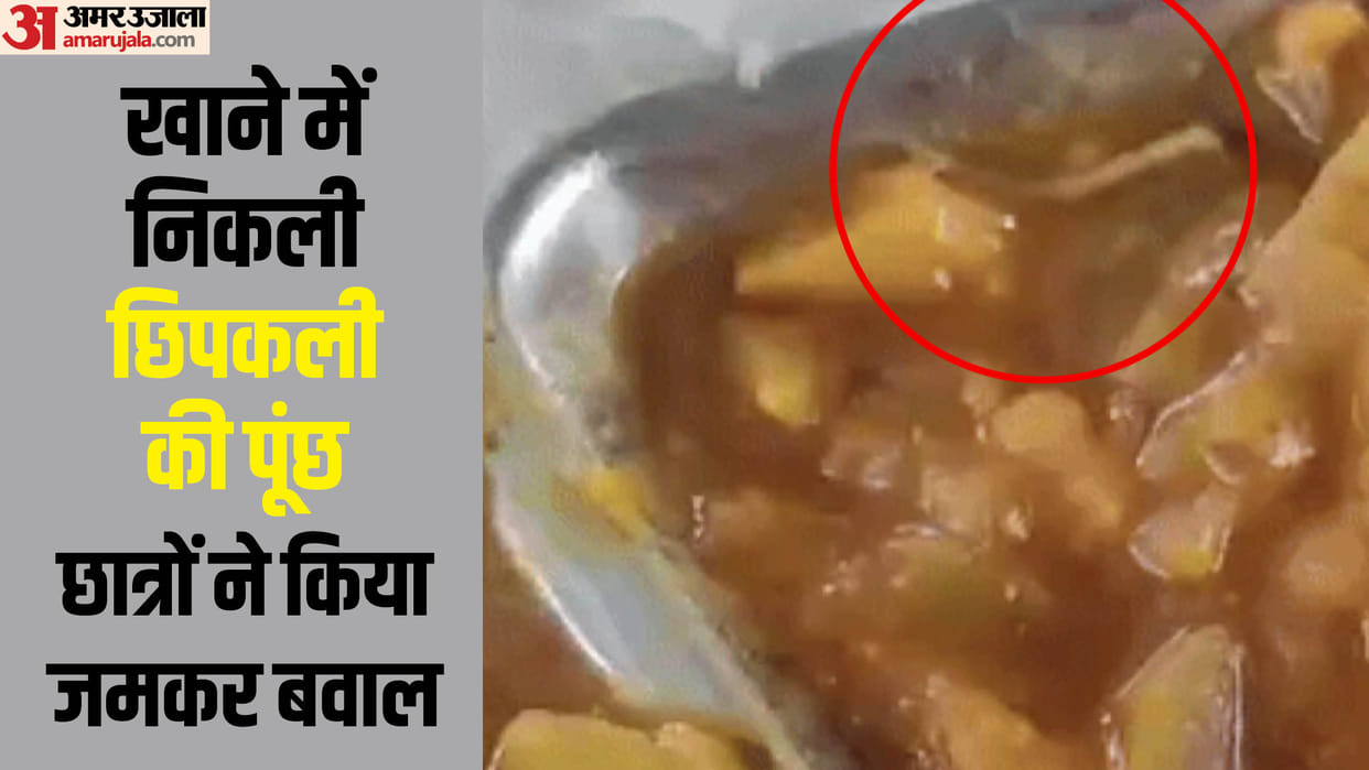 Rajasthan News Lizard's Moving Tail Found in Central University Food News in Hindi
