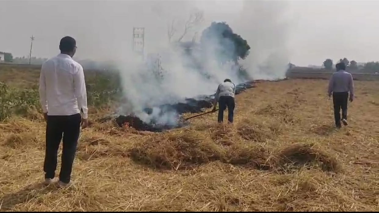 Stubble is being burnt due to high cost and lack of awareness in haryana and punjab