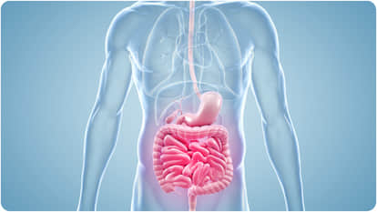 Human Metapneumovirus HMPV can cause gastrointestinal symptoms and kidney related issues