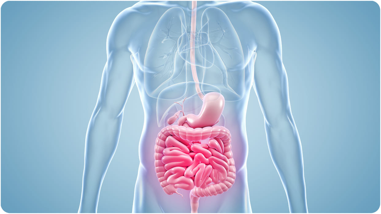 3f formula for good digestive system how to keep your digestive system healthy and strong