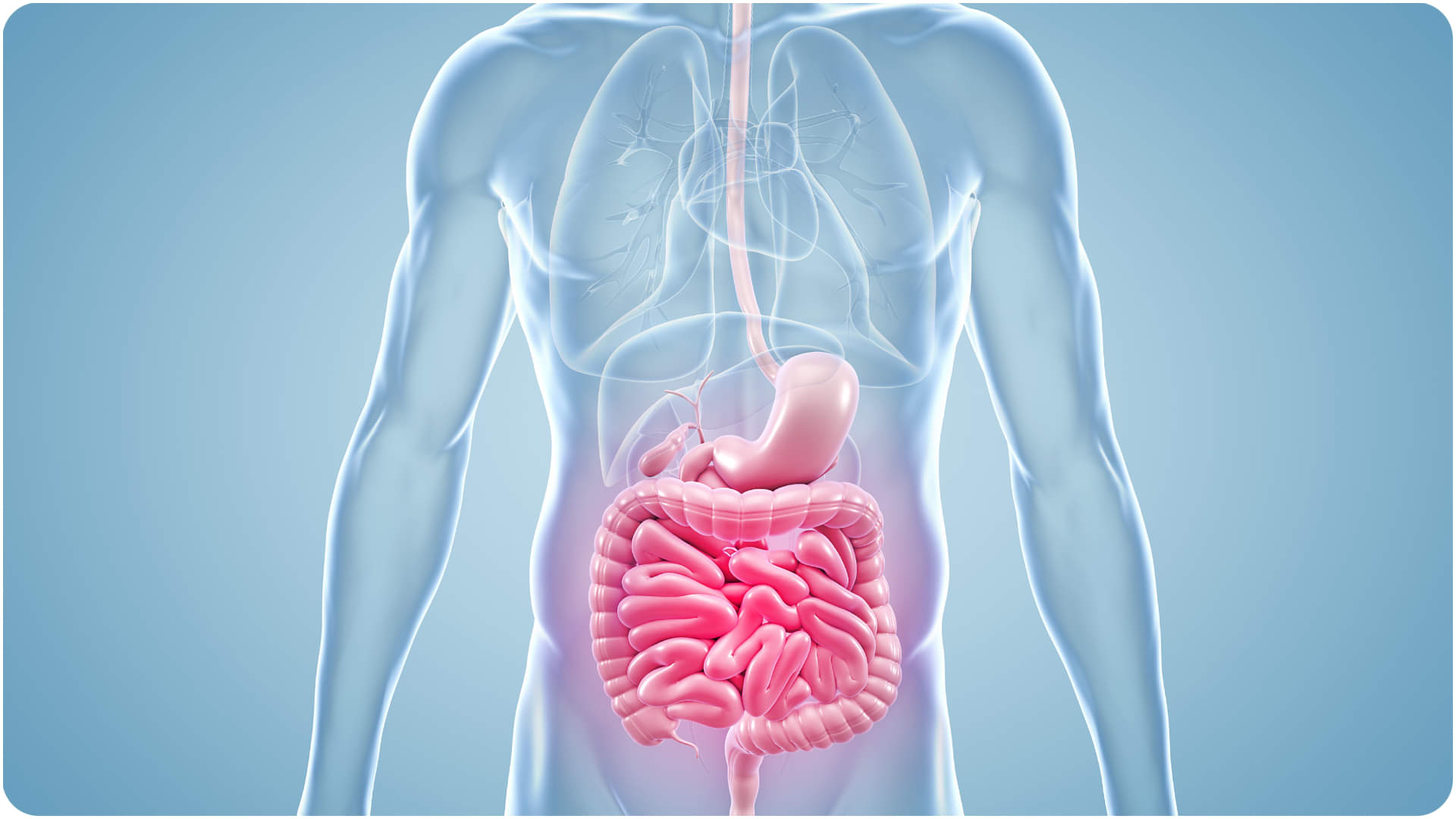 Health Tips Winter Stomach Issues causes Know Precaution Tips in Hindi