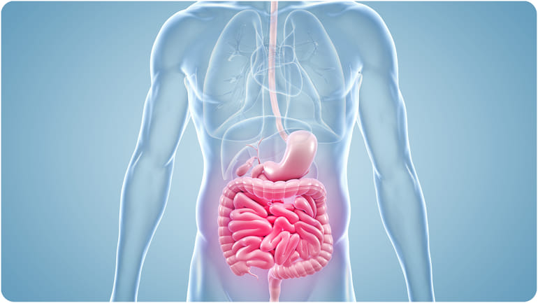 Shigella Infection: केरल में शिगेला का कहर, 126 लोग संक्रमित और मासूम की मौत से दहशत; जानिए क्या है ये बीमारी Shigella infection in Kerala cause death of 4 year old child know Shigella infection causes symptoms and risk