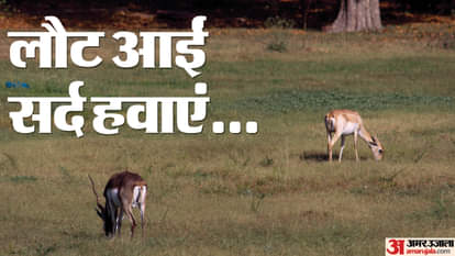 यूपी में सर्दी की दस्तक