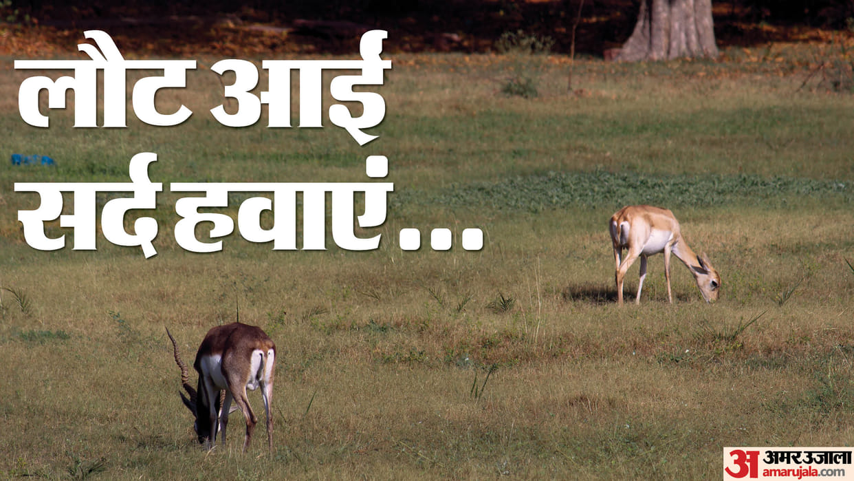 Due to changing weather wildlife started feeling cold in morning and evening delhi weather today
